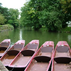 punting1