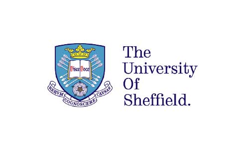 Study Group | University of Sheffield
